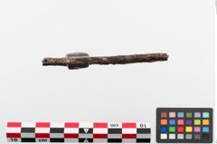 Foto von Miniatureisenaxt (NHMW-PRAE-024366)